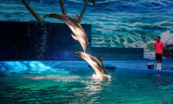 โลกทะเลขั้วโลกของ Ganzhou