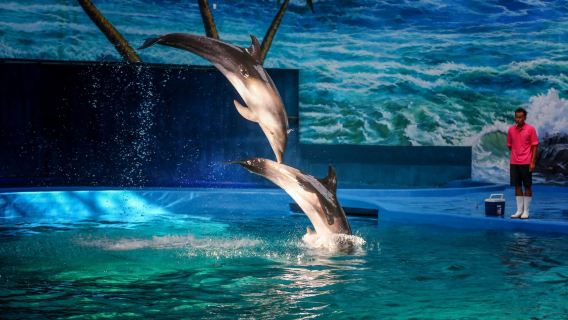 Ganzhou Polar Ocean World