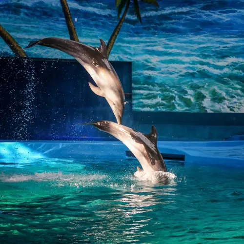 贛州極地海洋世界