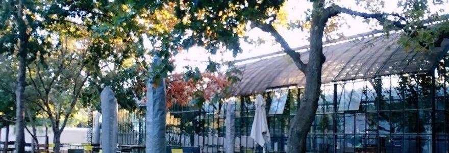 Babel at Babylonstoren