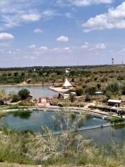 Camel Bell Dream Slope Desert Eco-Tourism Area