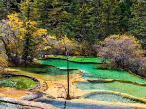 Penjing Pool