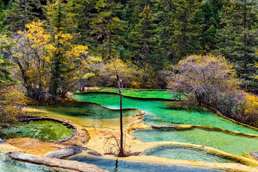 Penjing Pool