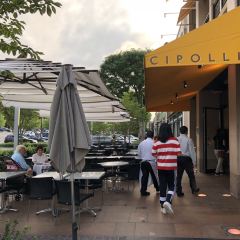 Cipollini Trattoria and Bar User Photo