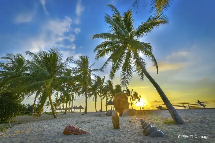 QJ Properties in Ledong