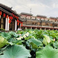 鲜龙井火锅公园(南山店) User Photo