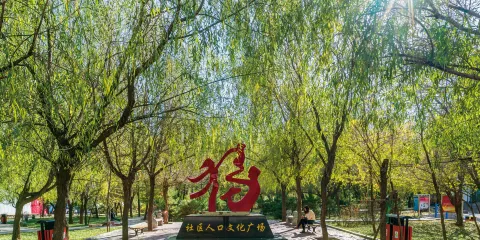 社區人口文化廣場