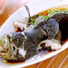 MOUSTACHE SEAFOOD User Photo