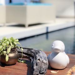 Beach Society ảnh của người dùng