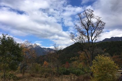 LUO TIAN BAO DAO FENG SHAN LI GONG NONG GU CAI GUAN