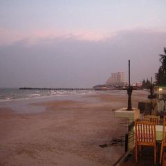 Coco51 Restaurant & Bar User Photo