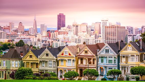 The Painted Ladies