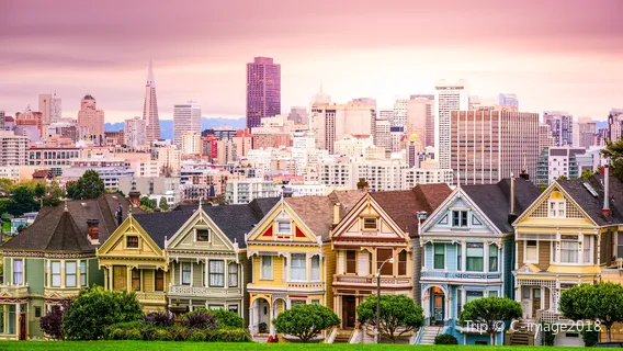 The Painted Ladies