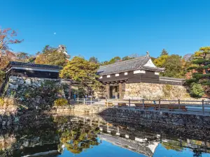 Kochi Castle