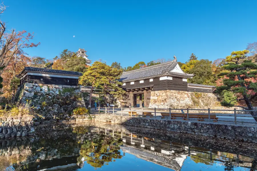 Kochi Castle