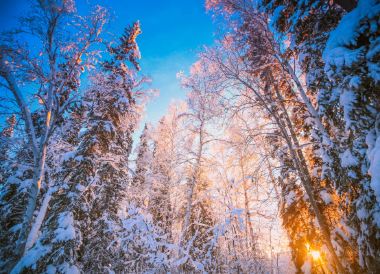 Fairbanks
