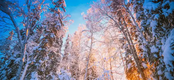 Hotels in Fairbanks