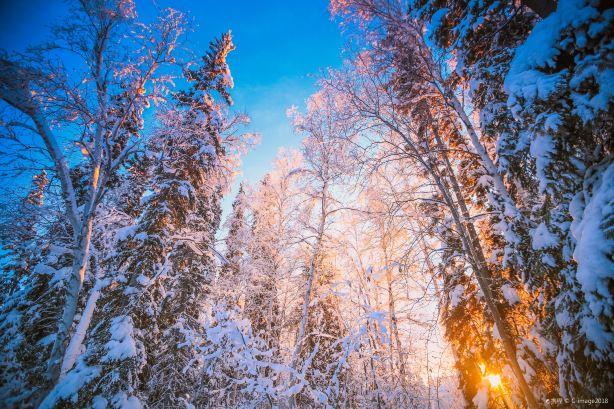 Fairbanks