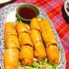 Rimpa Lapin User Photo