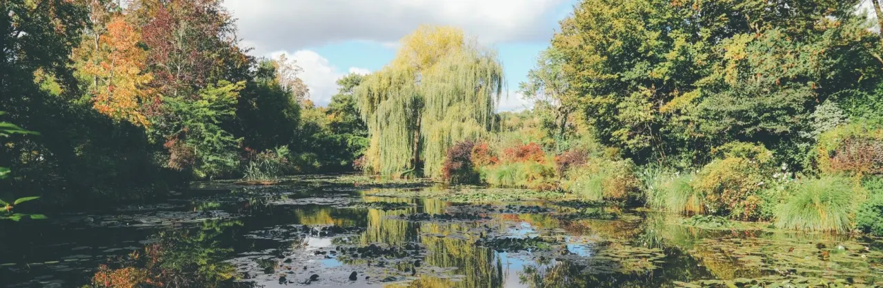 Fall Viewing Attractions