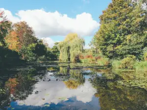 Điểm ngắm mùa thu Phổ Biến Tại Normandie