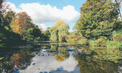 Fondation Monet in Giverny