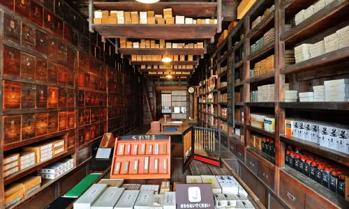 Edo-Tokyo Open Air Architectural Museum