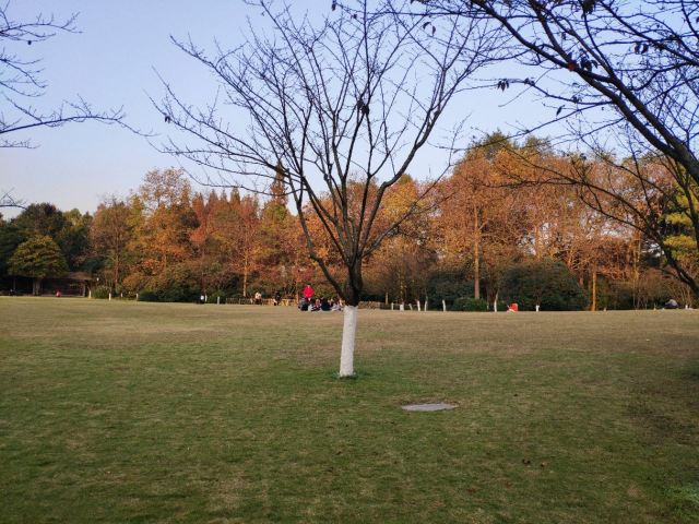 太子灣公園