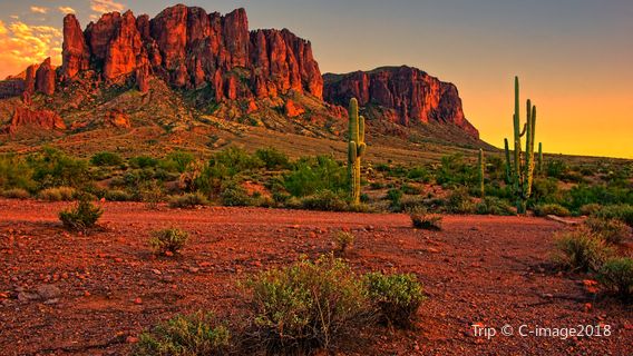 Phoenix