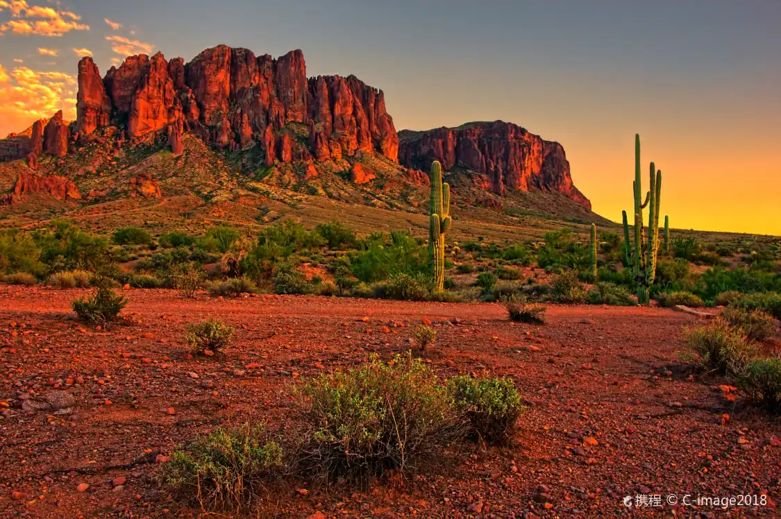 Hotels near Desert Botanical Garden