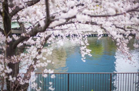 日本大阪大阪城公園+通天閣+難波八阪神社+黑門市場+道頓堀+心齋橋一日遊