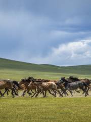 Huhenuo'er Grassland Tourist Attraction