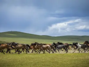 Huhenuo'er Grassland Tourist Attraction