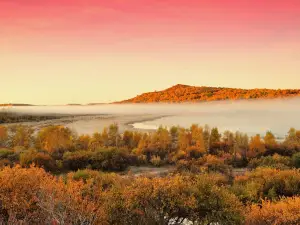 Yu Daokou Grassland And Forest Scenic Spot