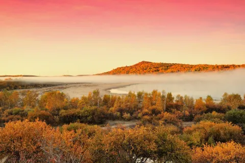 Yu Daokou Grassland And Forest Scenic Spot