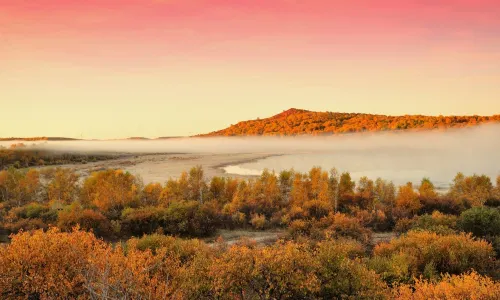 Yu Daokou Grassland And Forest Scenic Spot