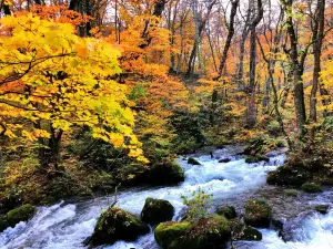 Oirase-keiryū gorge