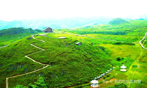 bai li du juan fang jia ping jing qu