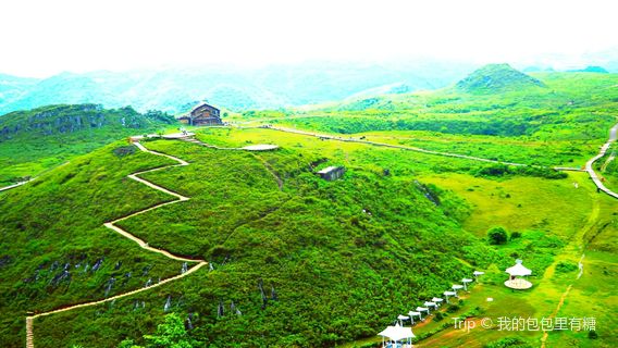 bai li du juan fang jia ping jing qu