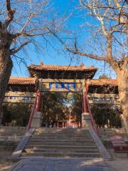 Zhongyue Temple