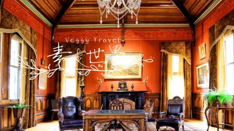 Dunedin travel destination