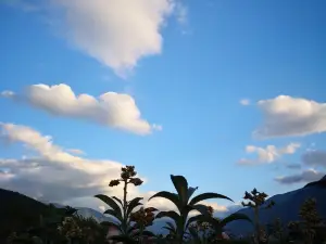 钱凉粉