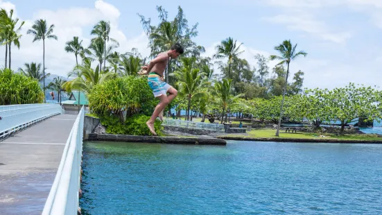 Coconut Island