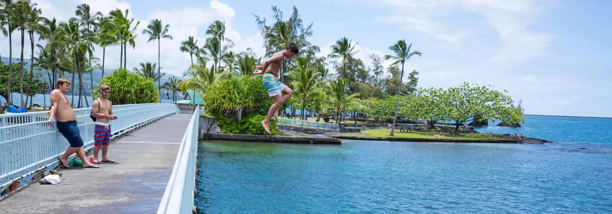 Coconut Island