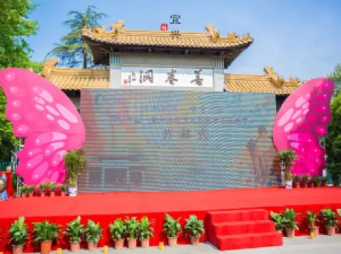 선권동