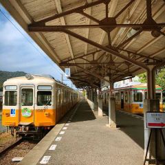 Tentekomai User Photo