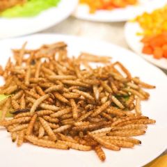 云起草堂(白云山森林公园店) User Photo