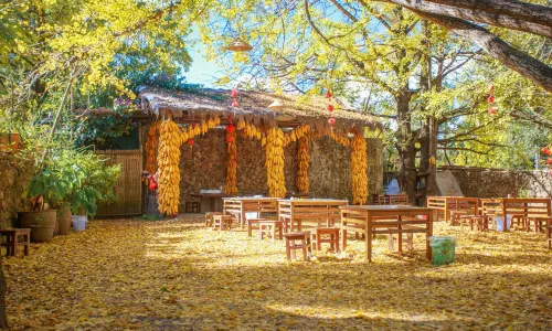 Yinxing Village