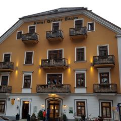 Restaurant im Seehotel Gruner Baum User Photo