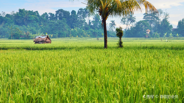 Ubud